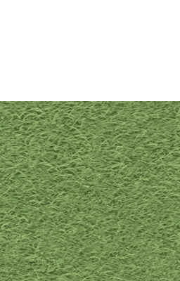 Square grass image