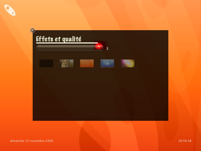 The options panel